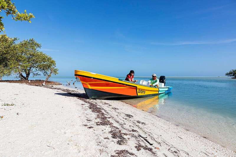 Holbox: Yum Balam Reserve Classic Boat Tour - Yalahau freshwater spring: the swim stop that changes the whole trip