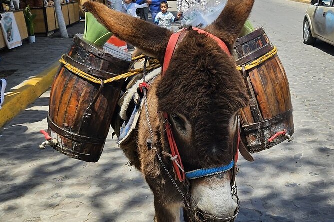 Horseback, Culture & Mexican Flavors Experience - Tepetlaoxtoc: Why This Day Feels Like a Reset