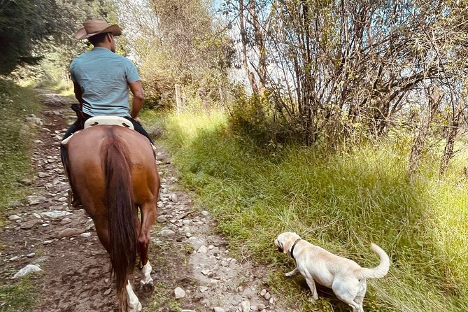 Horseback, Culture & Mexican Flavors Experience - Value Check: Is $239 Worth It?