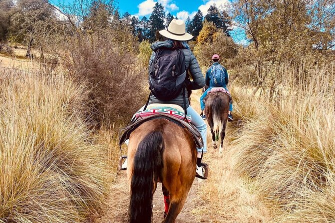 Horseback, Culture & Mexican Flavors Experience - The Tepe Snack Stop: Small Bites, Local Rhythm