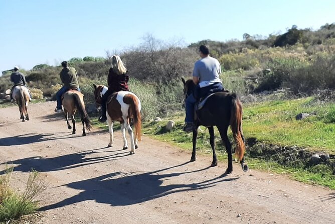 Horseback Mountain Trail Ride - The Ranch Animal Encounters That Make It Feel Personal