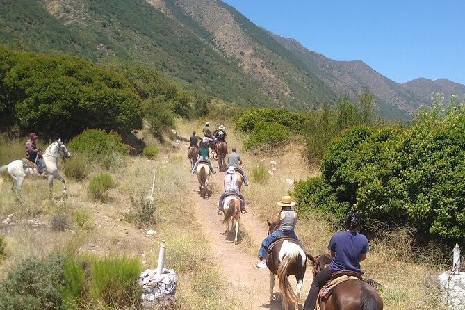 Horseback Mountain Trail Ride - Horse Matching And The Safety Briefing You Should Count On
