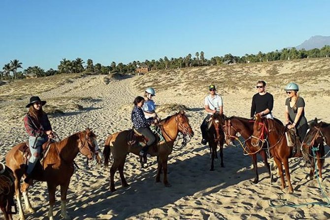 Horseback riding - Quick hits you should know
