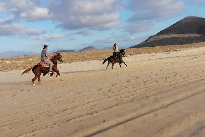 Horseback riding - What the Guided Ride Actually Includes