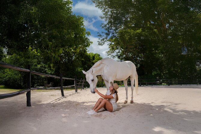 Horseback Riding and Cenote Swim from Cancun or Playa del Carmen - From Cancun or Playa del Carmen: How Pickup and Timing Usually Play Out