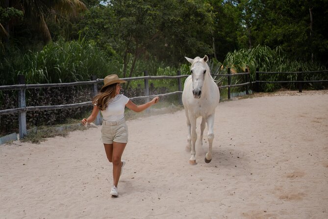 Horseback Riding and Cenote Swim from Cancun or Playa del Carmen - Riding Through the Yucatan Jungle: Flora, Fauna, Mayan Legends, and the Bubblegum Detail