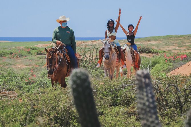 Horseback Riding Beach and Desert in Cabo - Key Points Before You Go