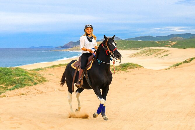 Horseback Riding Beach and Desert in Cabo - Baja Desert Meets the Pacific, in One Ride