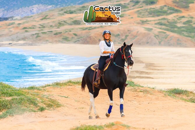 Horseback Riding Beach and Desert in Cabo - Pacific Beach Run: Sea Breeze, Breaking Waves, and Pace Changes