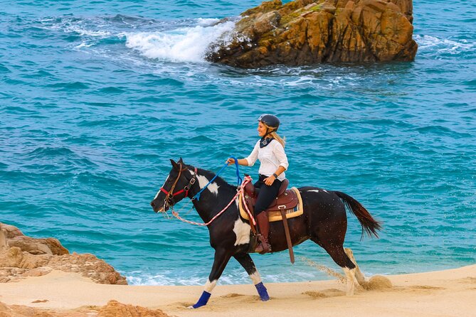 Horseback Riding Beach and Desert in Cabo - Price and Logistics: Where Value Can Surprise You