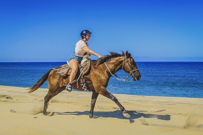 Horseback Riding Beach and Desert in Cabo - Rider Level Reality Check: Intermediate and Advanced Can Still Vary