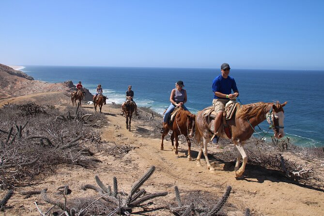 Horseback Riding Experience in Rancho San Cristobal - Key highlights at Rancho San Cristobal