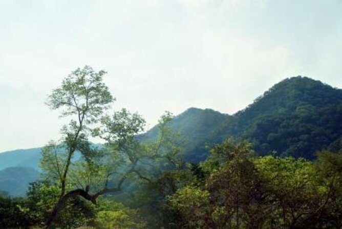 Horseback Riding Experience in Sierra Madre Mountains - Quick Hits I’d Use Before You Go