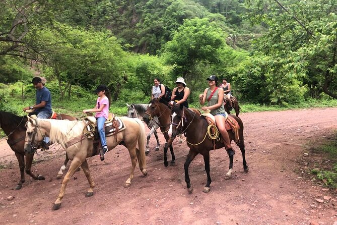 Horseback Riding Experience in Sierra Madre Mountains - The Ride Itself: Cuale River Trails, Jungle Paths, and Panoramic Stops