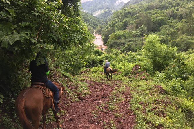 Horseback Riding Experience in Sierra Madre Mountains - Timing and Getting There: Las Glorias Pickup and a Clean Start