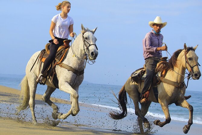 Horseback Riding in Sayulita Through Jungle Trails to the Beach - Meeting the horses: how they handle beginners and experienced riders