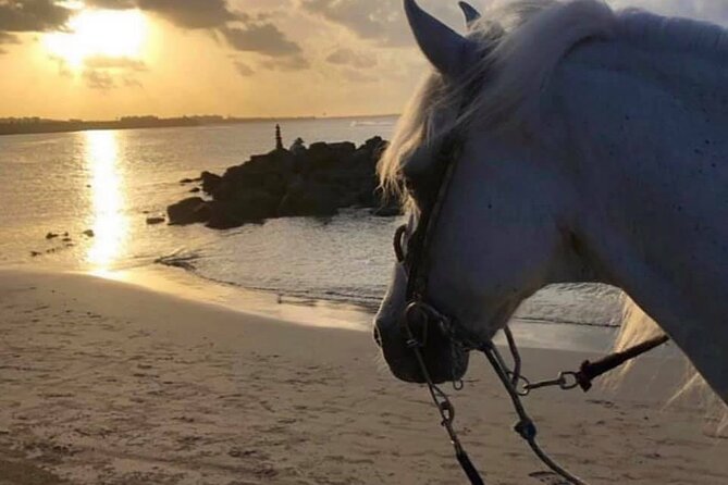 Horseback Riding in Sayulita Through Jungle Trails to the Beach - Punta de Mita and the route vibe: seeing more than just one view