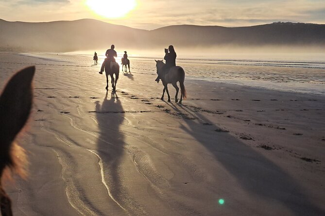 Horseback Riding on the Beach from Ensenada - Beach Time in Baja California: The Views, the Breezes, the Feel of Sand