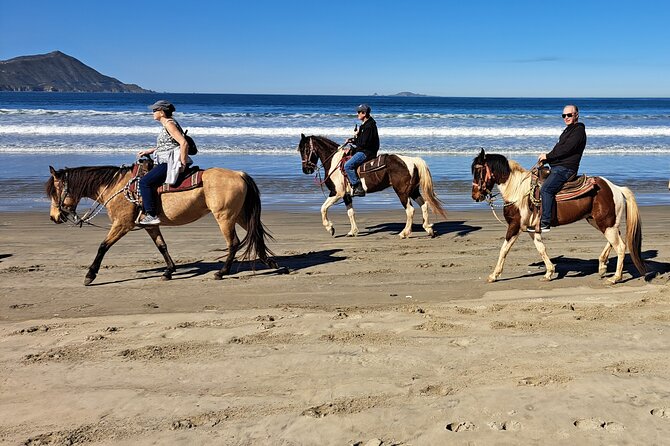 Horseback Riding on the Beach from Ensenada - What’s Included: Bottled Water, Helmets, and Small-Group Attention