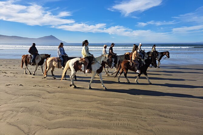 Horseback Riding on the Beach from Ensenada - Restroom and Hydration Reality Check (From Real-World Feedback)