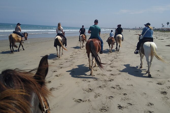 Horseback Riding on the Beach from Ensenada - Photos, Sand Dollars, and Keepsakes That Add Value