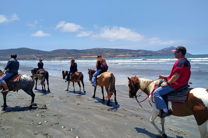 Horseback Riding on the Beach from Ensenada - Cruise Port Pickup and Downtown Meetups: The Timing You Need