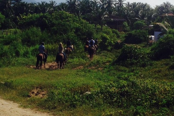 Horseback Riding on the Beach - Key Highlights to Know Before You Go