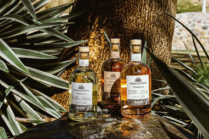 Horseback Riding & Swim: Tequila Tasting, BBQ & Margaritas - Horse matching at Hacienda Dona Engracia: calm horses and clear instructions