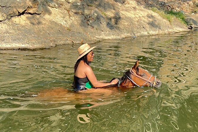 Horseback Riding & Swim: Tequila Tasting, BBQ & Margaritas - La Dulce Vista tequila tasting: Blanco to Anejo plus Pink tequila