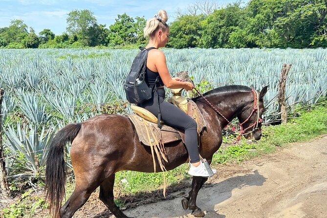 Horseback Riding & Swim: Tequila Tasting, BBQ & Margaritas - Photos, timing, and the small-group feel with guides like Martin and Fabrizio