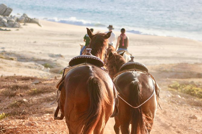 Horseback Riding Tour in Cabo San Lucas - Picking your horse and getting oriented the Baja way
