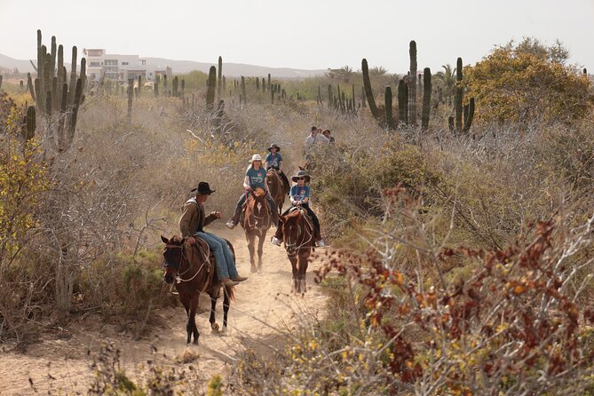 Horseback Riding Tour in Cabo San Lucas - Timing: why the day feels long even if you ride less