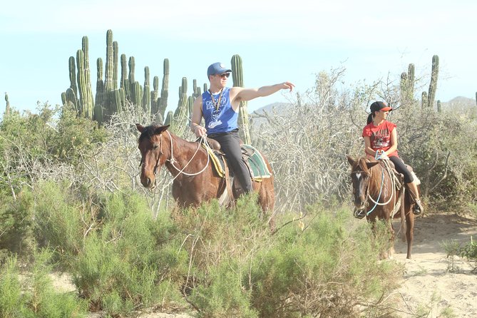 Horseback Riding Tour in Cabo San Lucas - Turtle conservation: the calm, meaningful side of the ranch