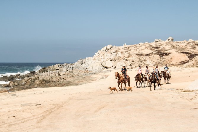 Horseback Riding Tour in Cabo San Lucas - Value check: $65.86, snacks included, and the real total cost