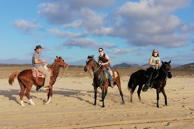 Horseback riding - Meeting Point in Centro, Then Back Again