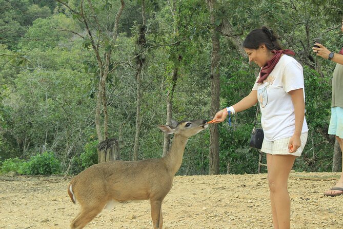 Hot Springs and Villages in the Sierra Madre for 4 hours - Where the tour starts in Puerto Vallarta