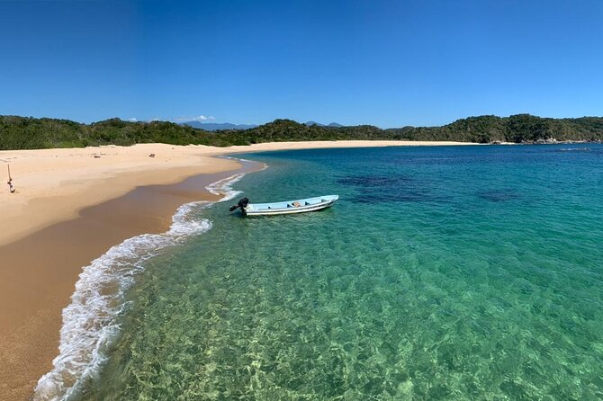 Huatulco Bahías Tour - Wildlife, Conservation Mood, and Why the Day Feels Respectful