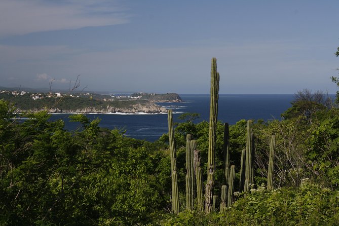 Huatulco City Tour HT - Meeting Up Correctly, Especially If You’re on a Cruise