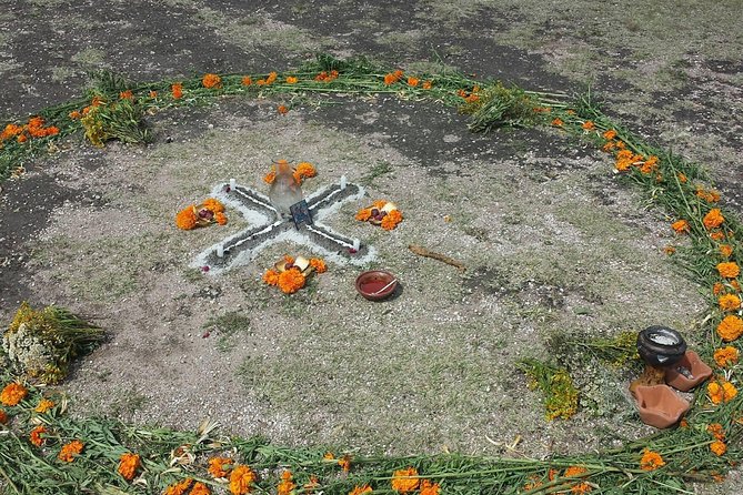 Immersive Cañada de La Virgen Pyramid Tour - The walk on uneven ground: sun, stamina, and leaf-cutter ants