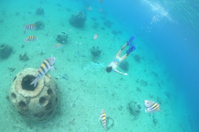 Invisible Boat Snorkeling Tour - Reef Cruising and Underwater Viewing: What You’ll Actually See