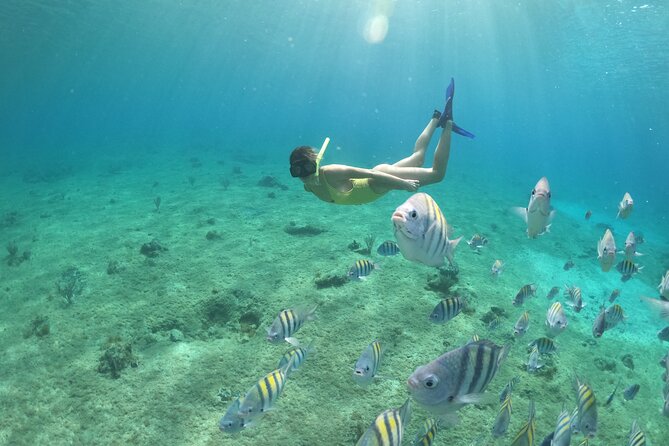 Invisible Boat Snorkeling Tour - Snorkeling Break Reality: Gear, Time in the Water, and Getting Started