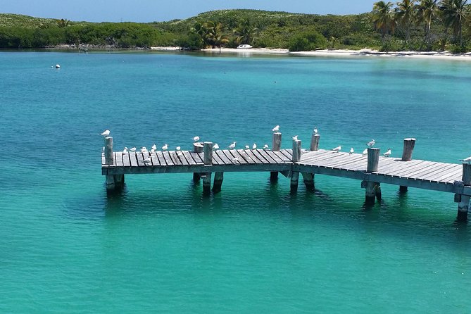 Isla Contoy and Isla Mujeres Tour with Snorkeling from Cancun - Punta Sam Departure: What This Day Feels Like From Minute One