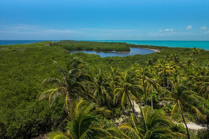 Isla Contoy and Isla Mujeres Tour with Snorkeling from Cancun - Isla Mujeres Stop: Shopping Time Plus the Party Deck Ride Back
