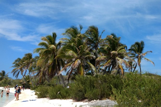 Isla Contoy and Isla Mujeres Tour with Snorkeling from Cancun - The Crew Factor: Why People Remember This Trip
