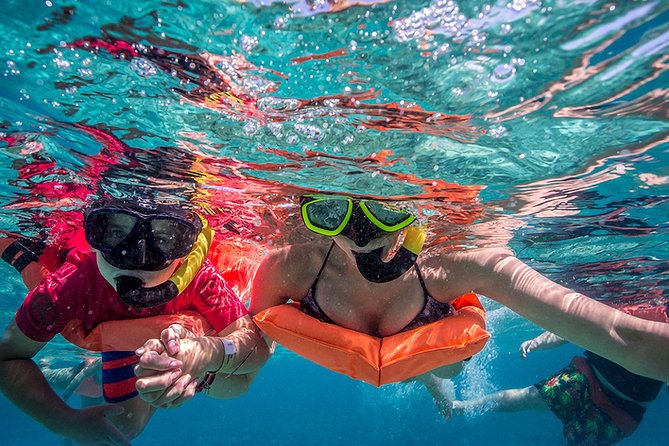 Isla Contoy and Isla Mujeres Tour with Snorkeling from Cancun - Isla Contoy National Park: Wildlife Walks and the Real Meaning of Protected