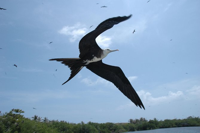 Isla Contoy Eco Adventure - Ixlache Reef snorkeling: short session, guided rules, weather-dependent access