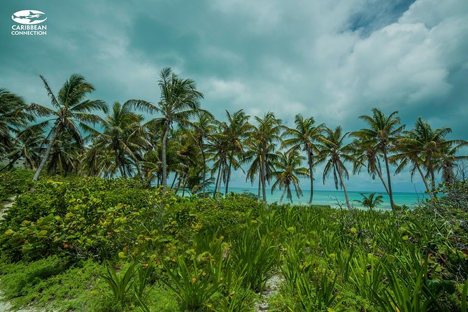 Isla Contoy Eco Adventure - Contoy Island time: birds, a small accessible area, and a guided walk