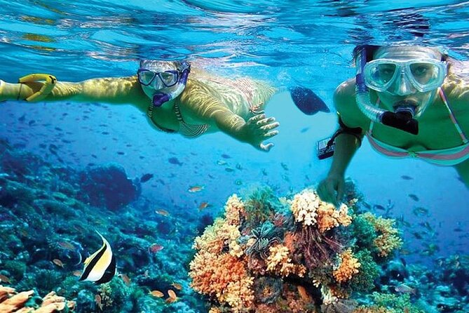 Isla Mujeres Catamaran, Open Bar & Optional Buffet and pick up - Cruising Time on a 30-Person vs 50-Person Catamaran