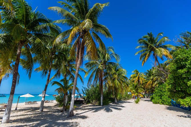 Isla Mujeres Catamaran, Open Bar & Optional Buffet and pick up - Arrecife El Meco Snorkeling: The Part Everyone Talks About