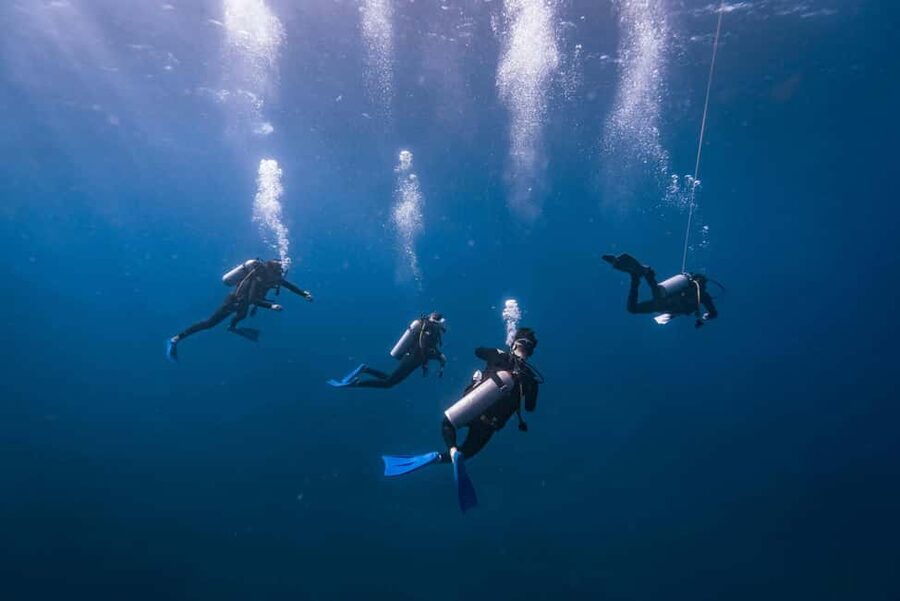 Isla Mujeres: Catamaran Ride with Open Bar, Snorkeling, and Lunch - Snorkeling Stop in Clear Water, Realistic Expectations for 30 Minutes
